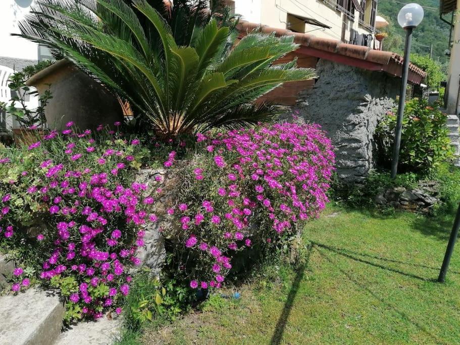 Casa Andreina Βίλα Salto Chiesa Εξωτερικό φωτογραφία
